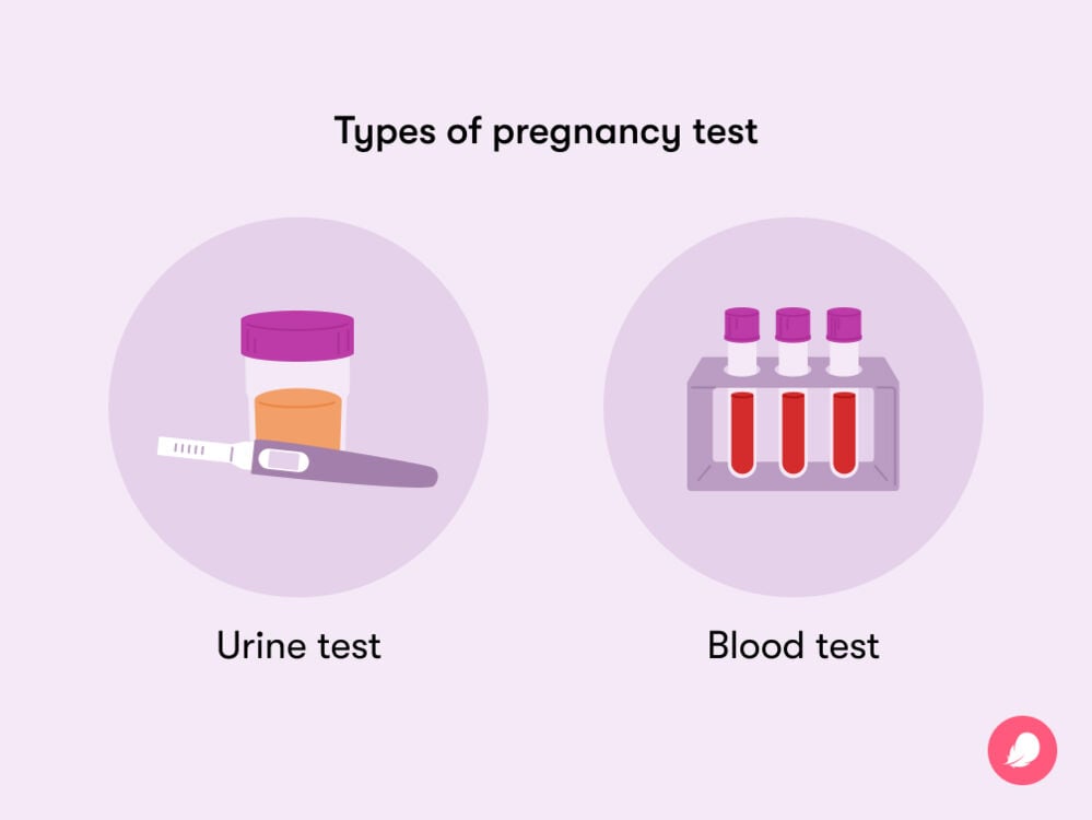 When To Take A Pregnancy Test Tips For Accurate Results when-to-take-a-pregnancy-test-tips-for-accurate-results